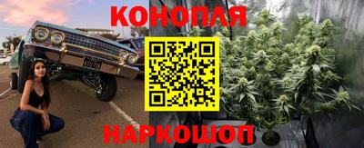 эйфоретик Нарткала