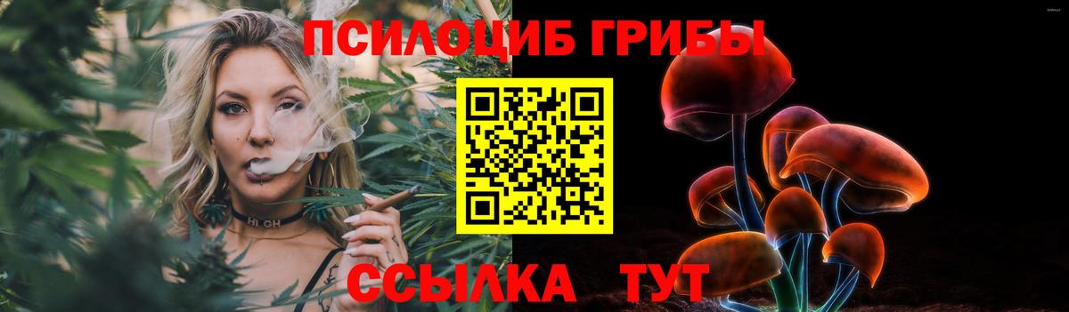 Галлюциногенные грибы прущие грибы  Псилоцибиновые грибы Magic Shrooms  Вход с VPN  Щёлково 